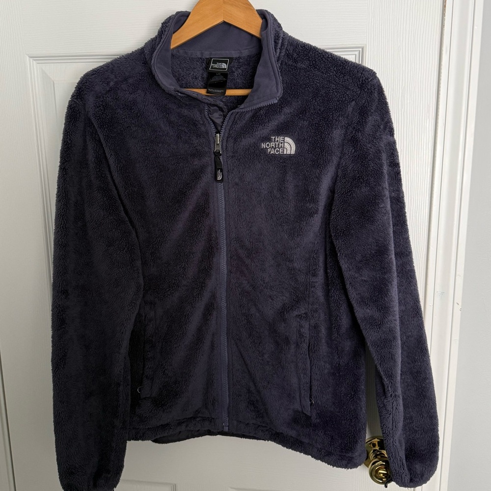 The North Face blue Fleece Jacket